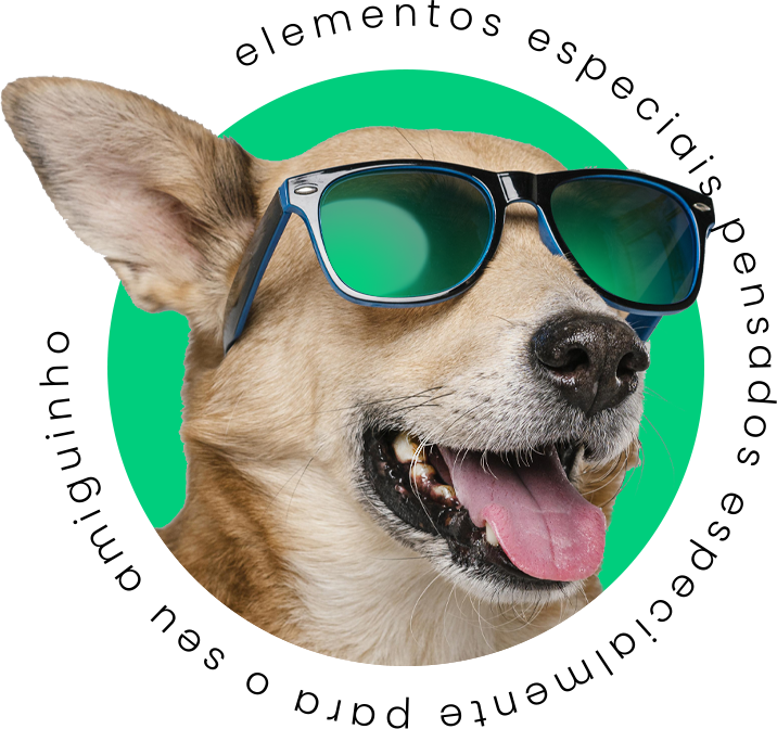 Cachorro com culos de sol